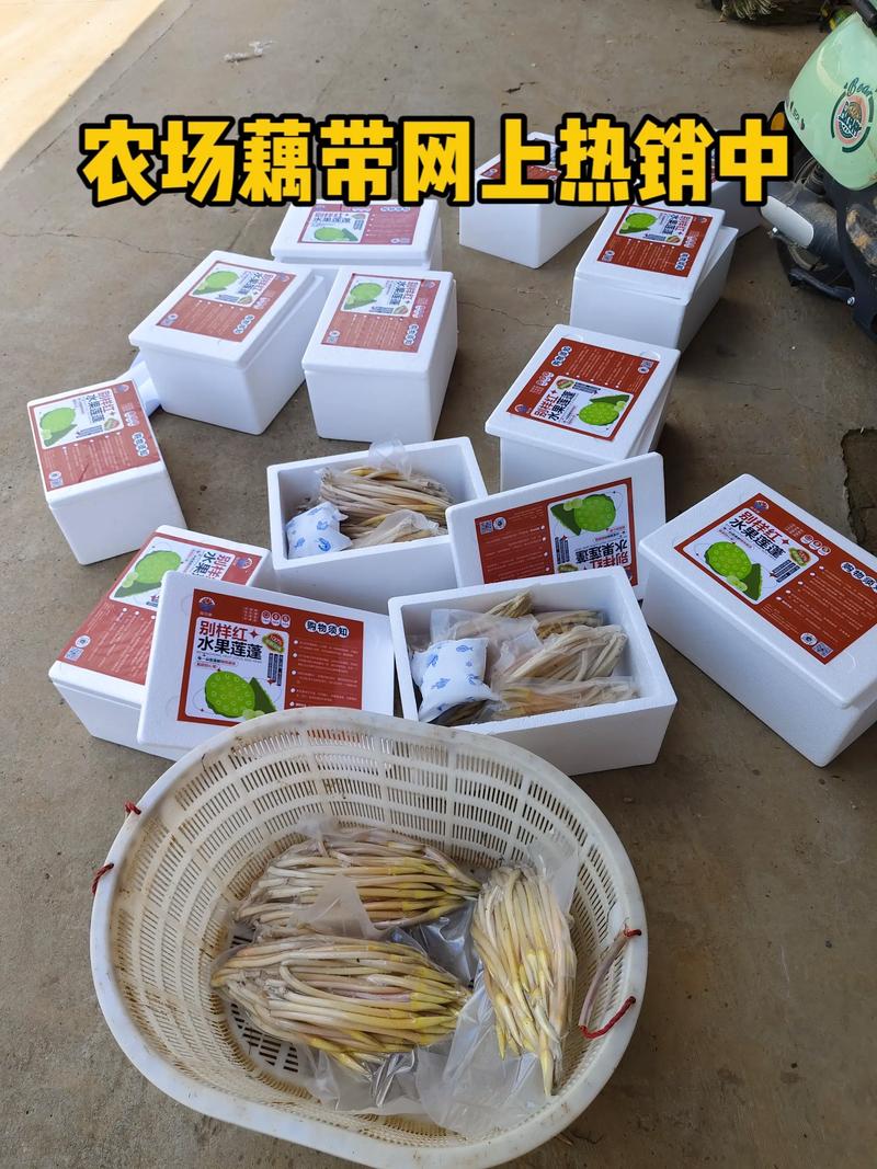 哈尔滨电子商务的发展与未来